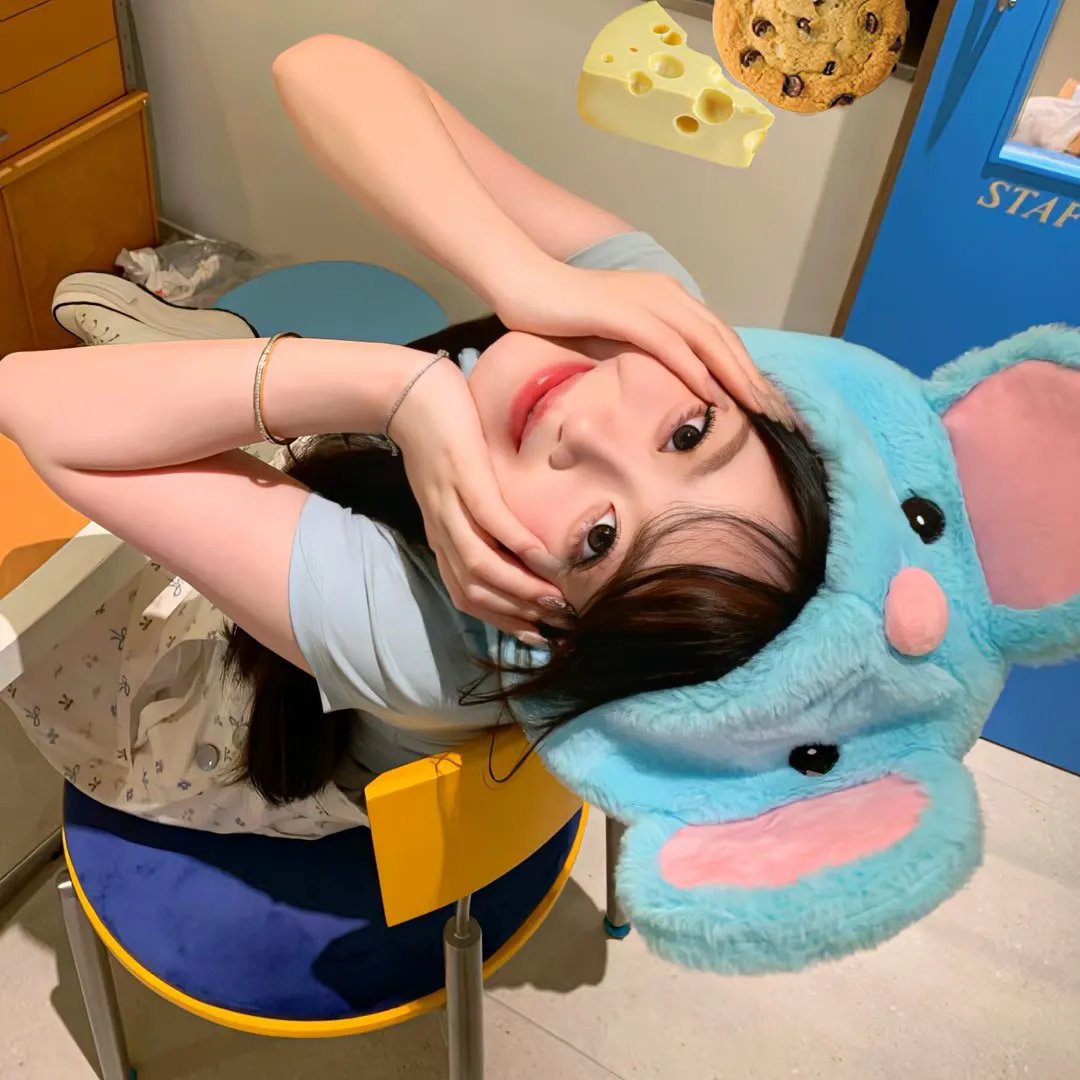 失眠者的避难所