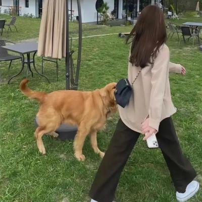 得州巡警第四季