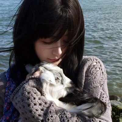 神奇阿呦之最强流星人